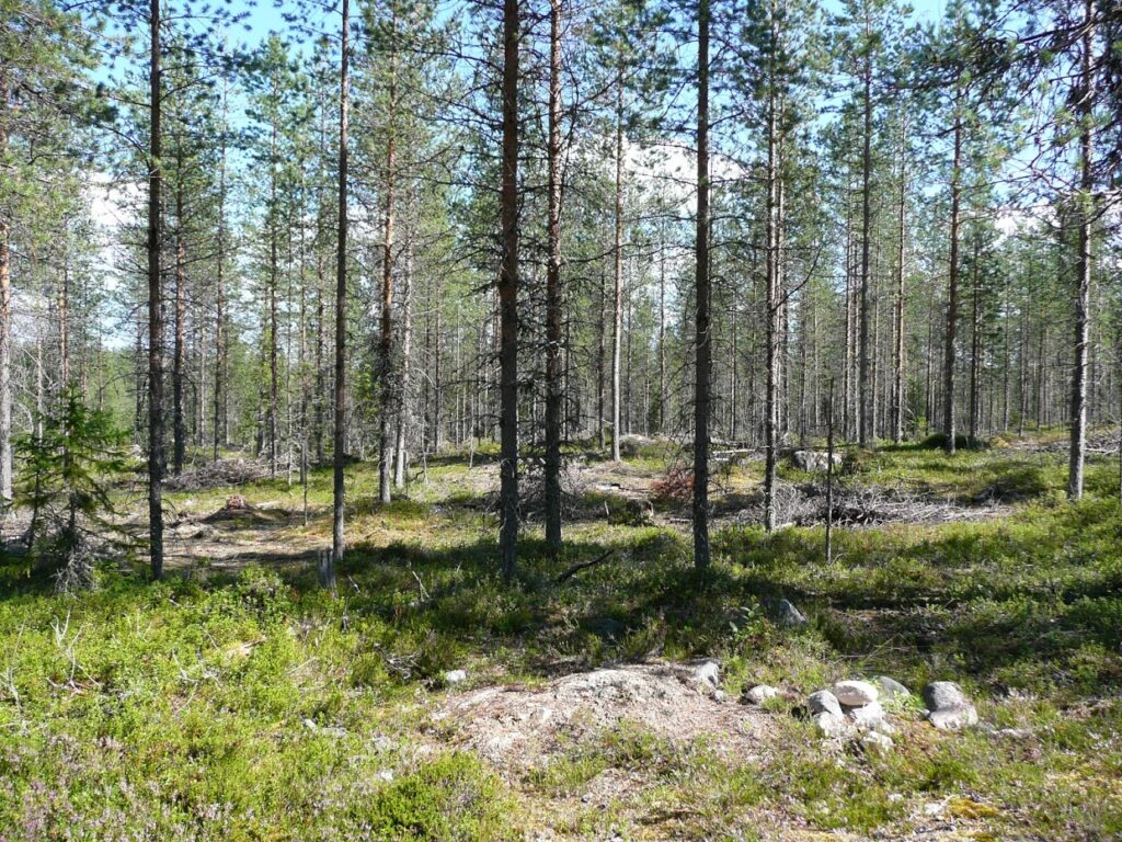 Oulanka, národní park, Finsko