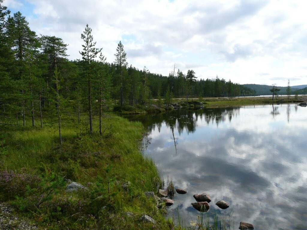 Jezero, Finsko, příroda