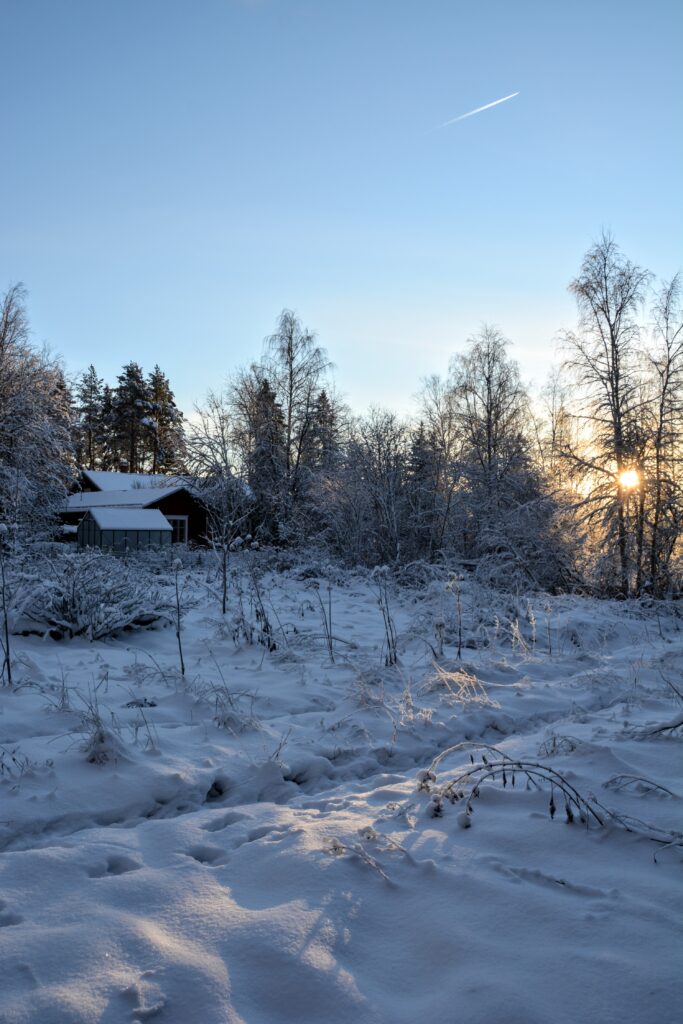 finská zima