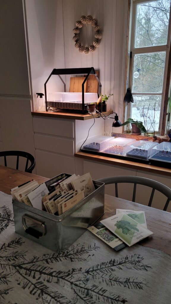 pěstování ze semínek