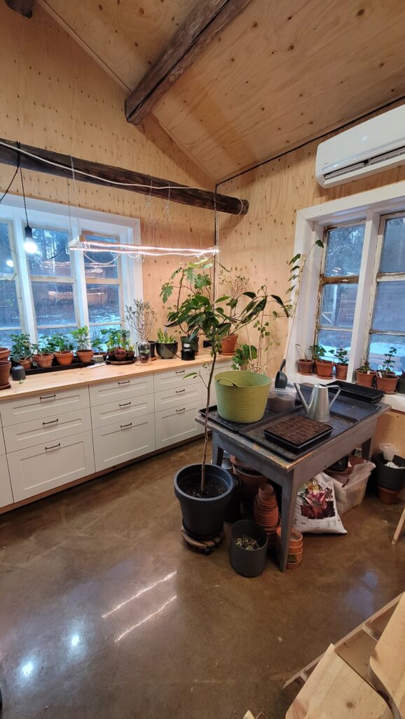 místnost na předpěstování