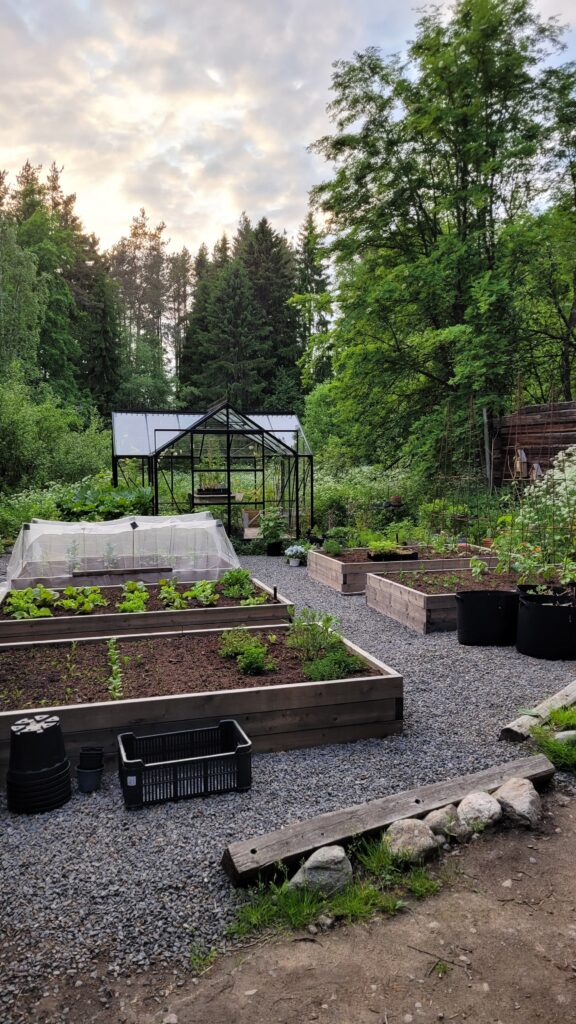 pěstování na zahradě