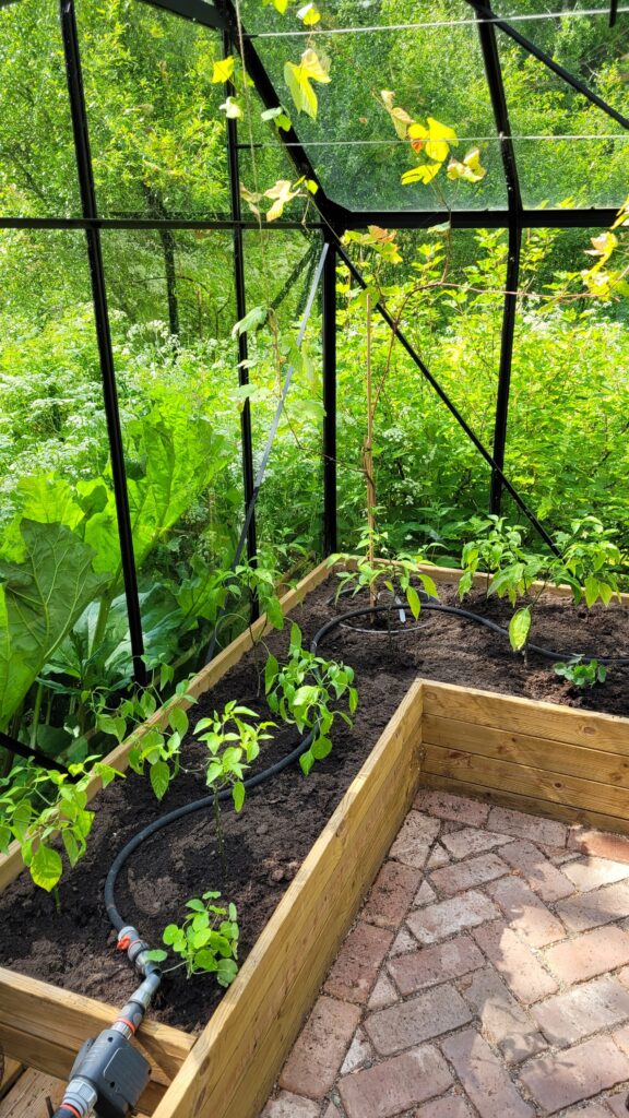 skleník s cihlovou dlažbou