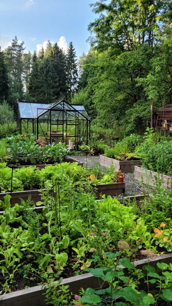 vyvýšené záhony se skleníkem