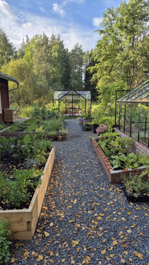 skleník s podezdívkou a pařníkem