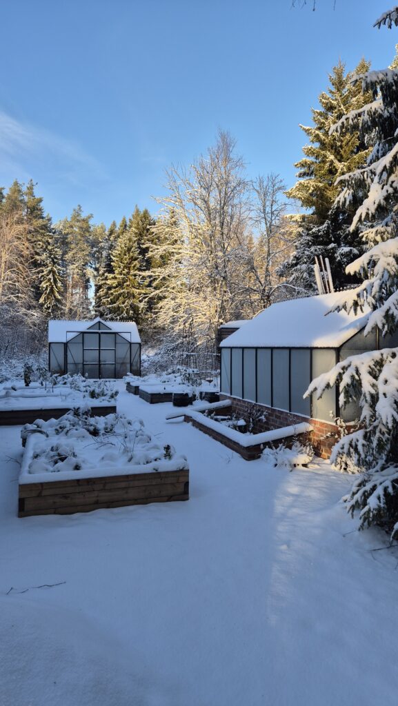 viktoriánský skleník