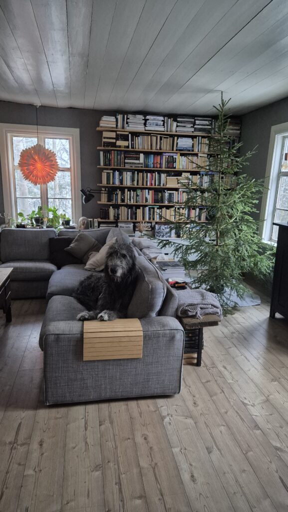 vánoce ve starém domě