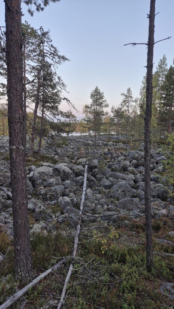 národní park Salamajärvi