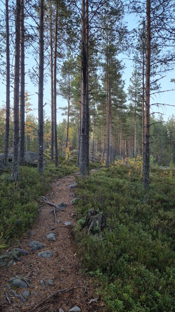 výlet do Finska