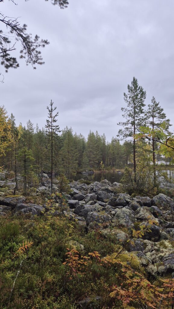 Metsäperäläisen taival