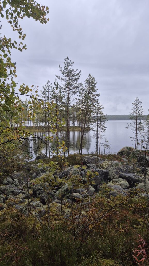 Metsäperäläisen taival