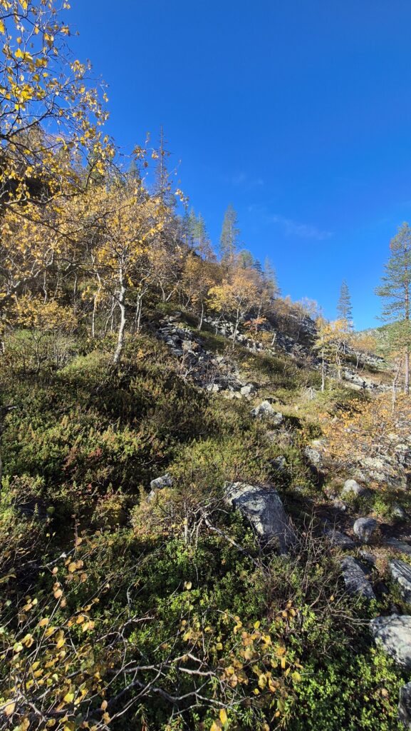 laponský podzim