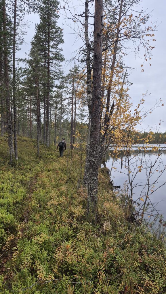 Saarijärvi - Puolanka