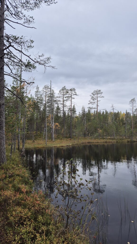 Saarijärvi - Puolanka