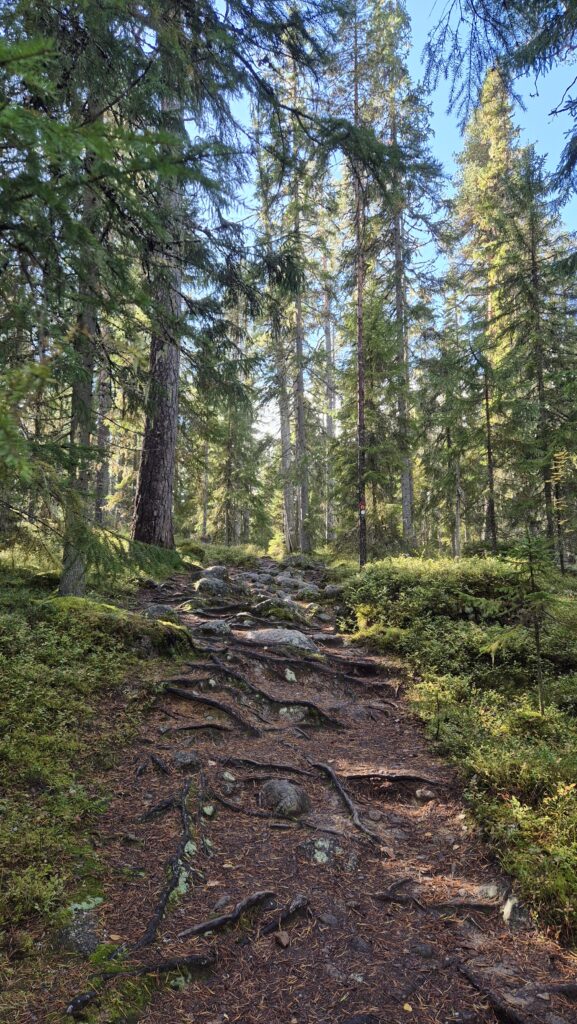 Pyhä-Häkki národní park