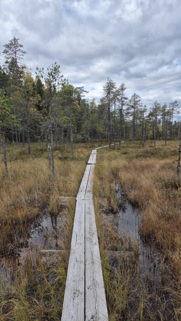 podzimní dovolená - národní park Pyhä-Häkki